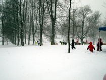 Lucia kulkue ratsastaa kartanolla.. 
kuva in