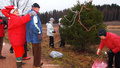 Huolto toimii..
kuva IN